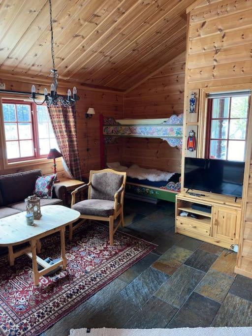 Вілла Hytte I Tuddal Hjartdal Екстер'єр фото
