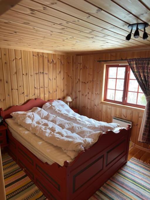 Вілла Hytte I Tuddal Hjartdal Екстер'єр фото